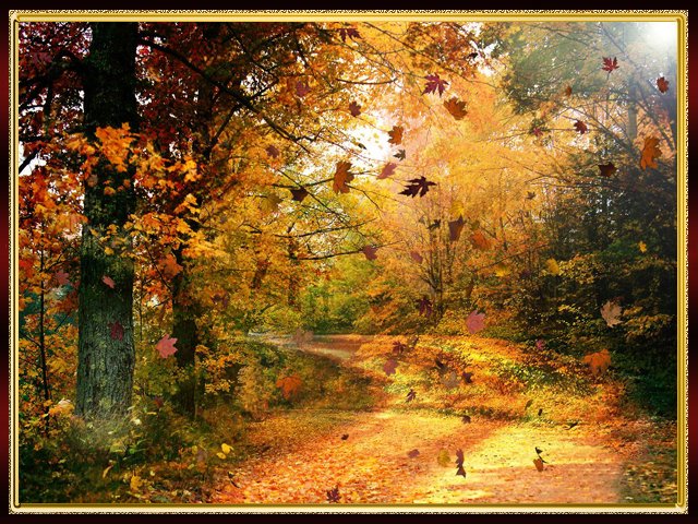 Леший. Евгений Оберенко