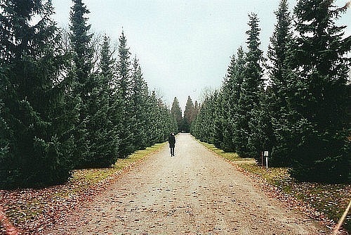 В лабиринте сознания