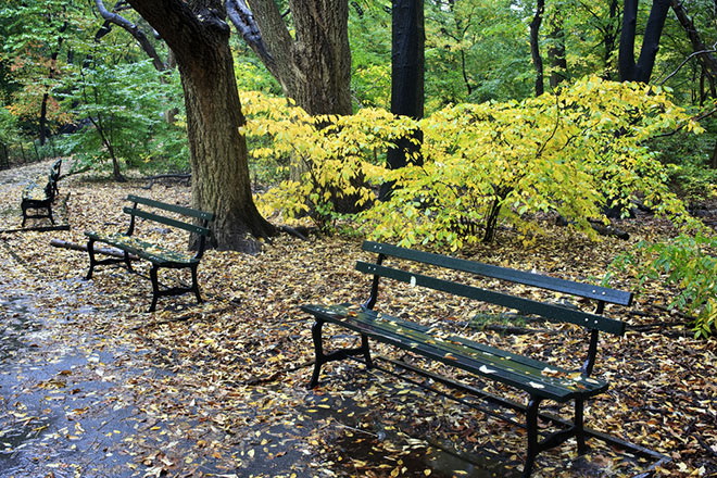 Второе октября