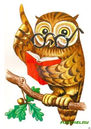 Черные коконы. Подаренное зло