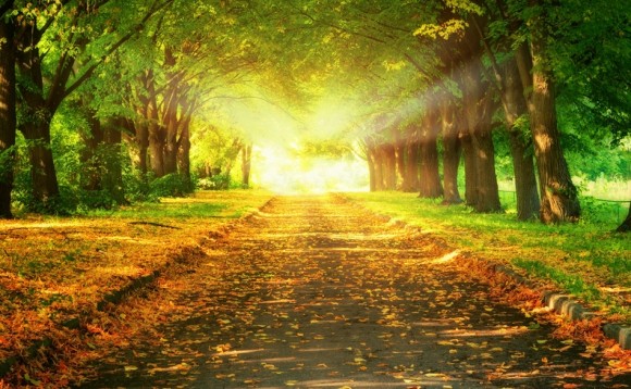 Нет проку от вина