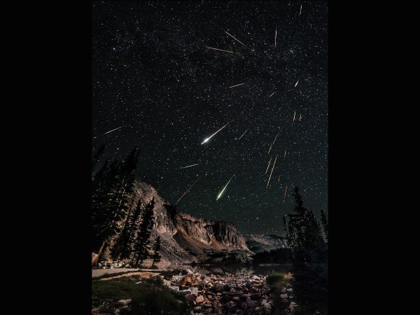 Посвящение