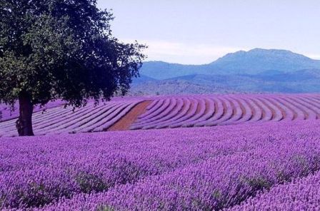 Иллюзорность Одиночества...