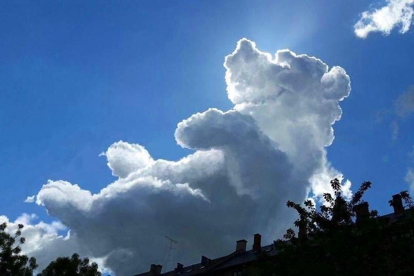 Наверное, я чукча