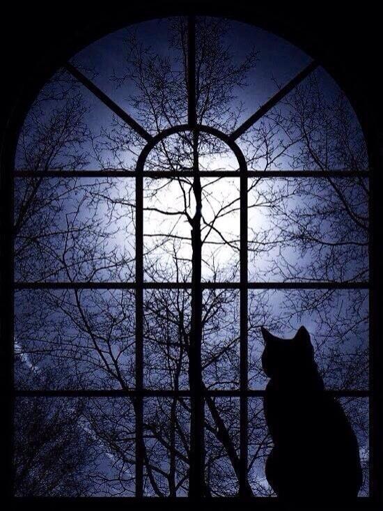 Время изменить... и измениться!