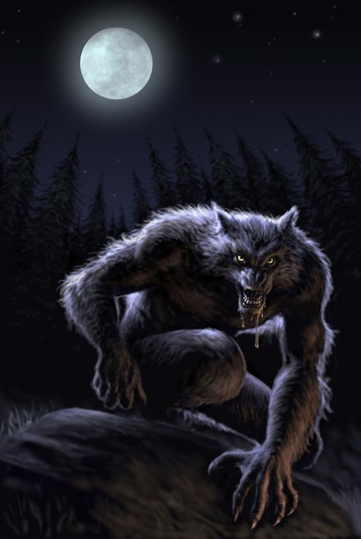 Сегодня снова полнолуние...