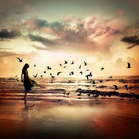 Гулял по сходням старый ветер