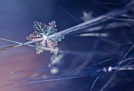 Я приду к тебе через границы...