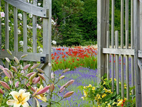 Открываю я в сердце калитку