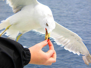 Грусть во сне