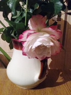 Как мне понять непонятное