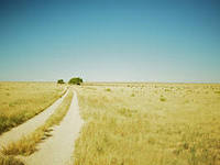 Мы все рождаемся белыми и пушистыми