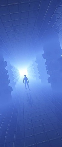 Шагнув в пропасть невозврата