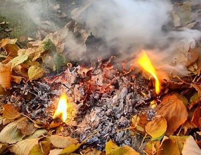 Жёлто-красная атака