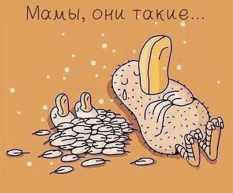 Перегретые любовью...