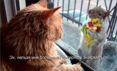 Всему есть свои размеры