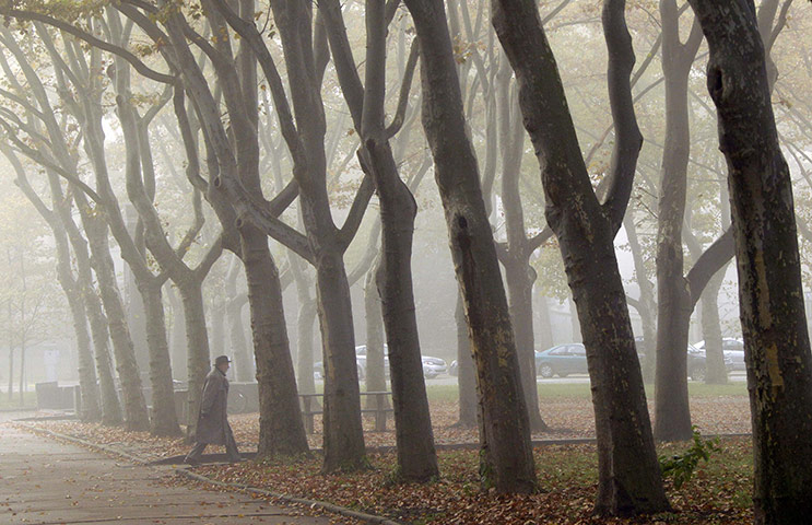 День безликий и туманный...