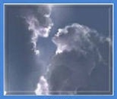 Улётная ДНК