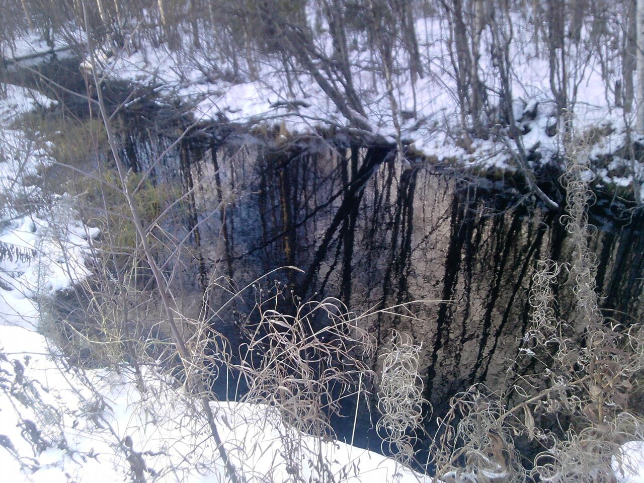 Пиит - он что былка в заснеженном поле
