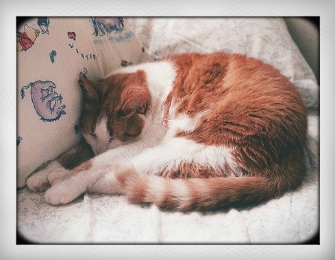 Откровение