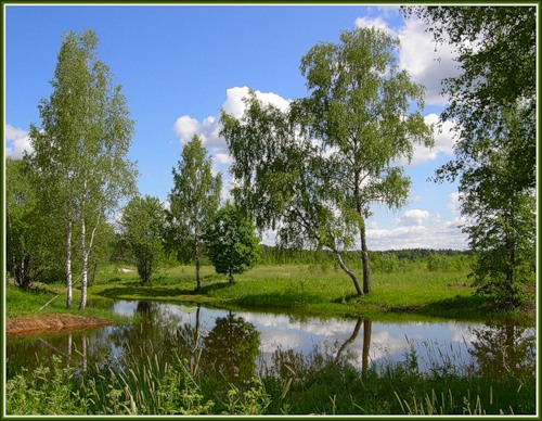 Дачные края