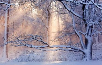 Тихо зима входит к нам холодом в души...