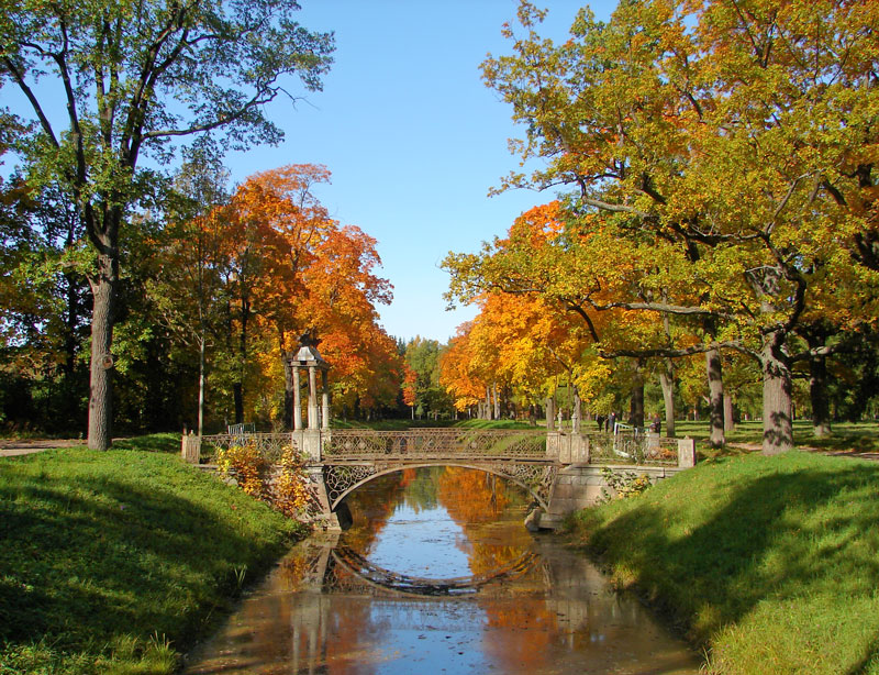 Подарю я ветру нежность