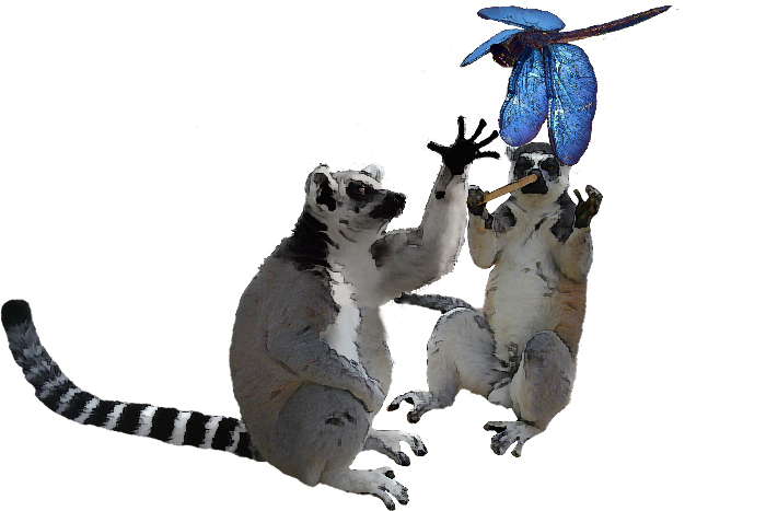 На поляне забытого острова...