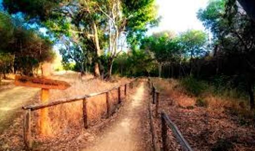 Проводя вечер в обществе собственной тени...