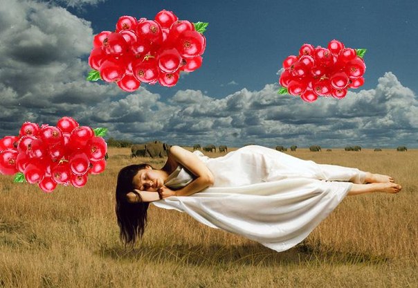 Смородиновый сон