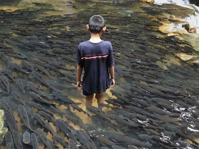 через трилупу своих глазниц