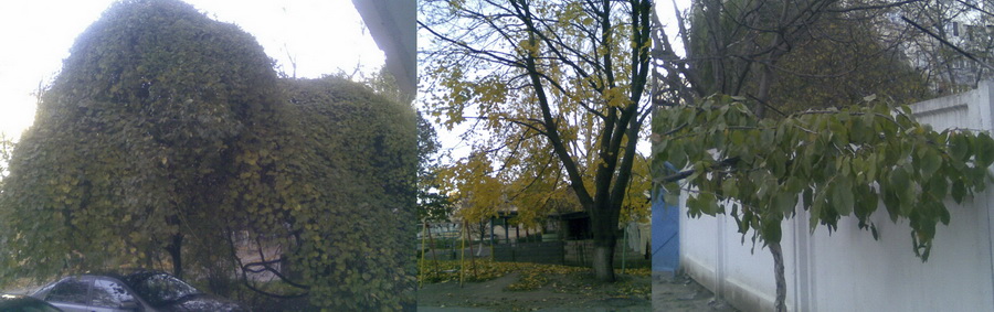Осенний экспромт
