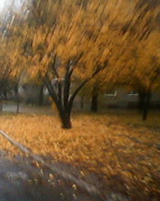 Осенняя зарисовка