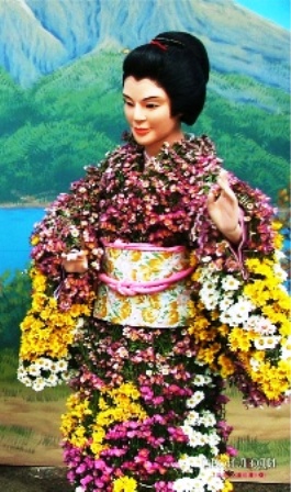 Кимоно из хризантем... Танка