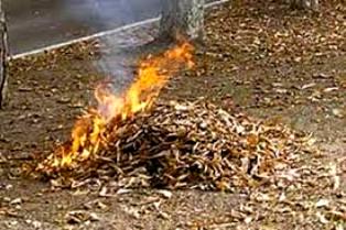 Фальшивое золото