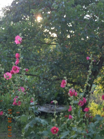 Мы тут лазым по вси ян дэк сам