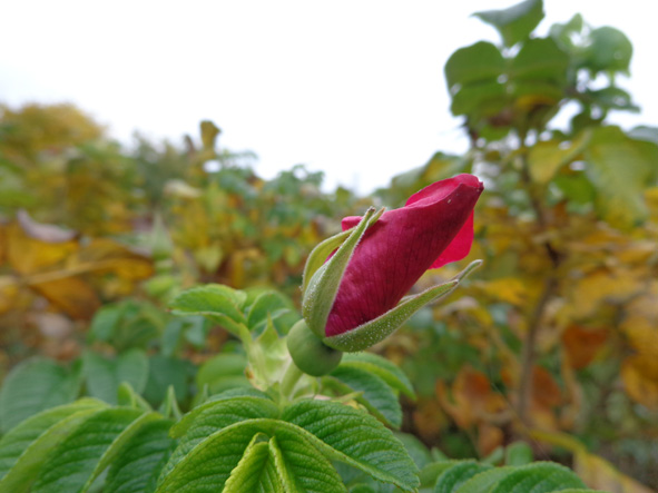 Не педофил!!! фото автора