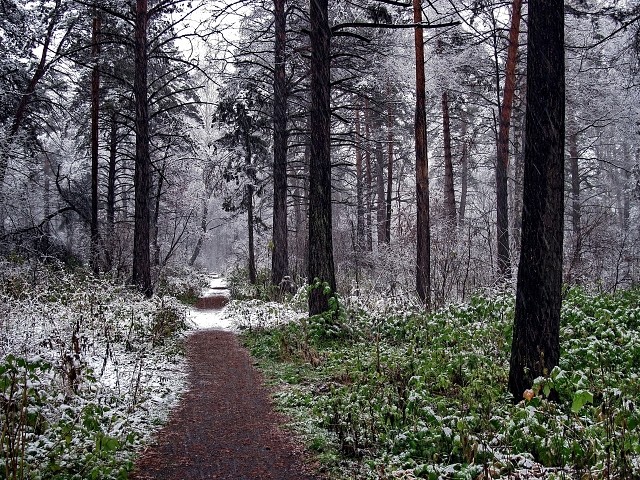 Прошу тебя, любимый, улыбнись,