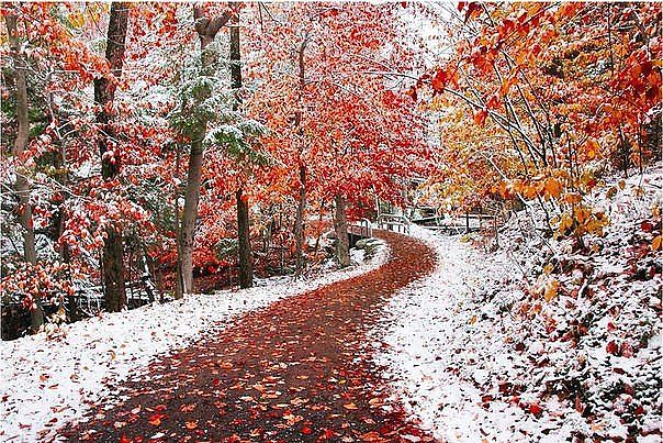 Краски осени накроет белый снег