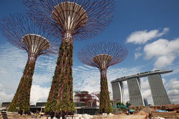 City Solutions Green Buildings Singapore Supertree