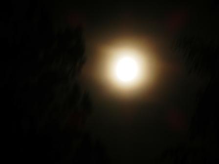 Шепчет сказки о любви...