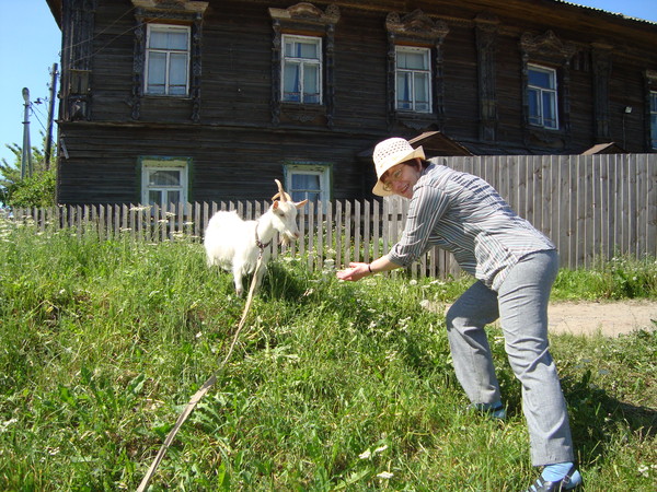 Дружеский шарж