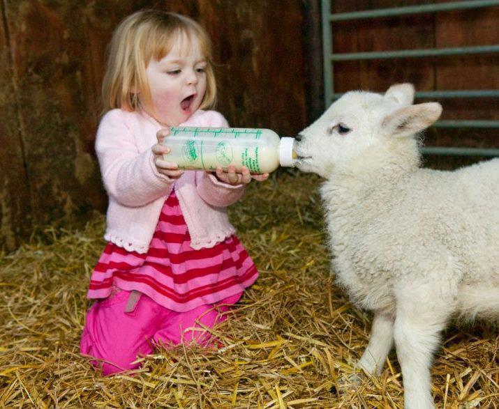 Ешь быстрей, потом пойдём гулять...