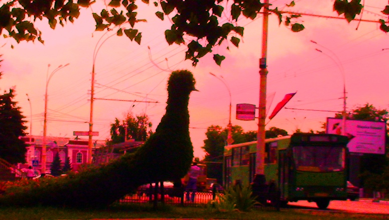 Красками сердца и чувств