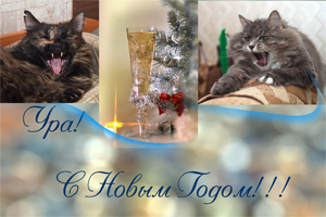 Мяу, рррауррр