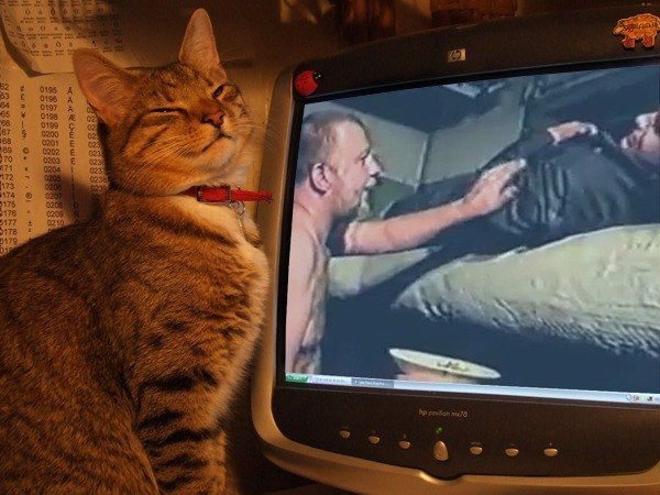 Спосские страсти и телевизионные радости