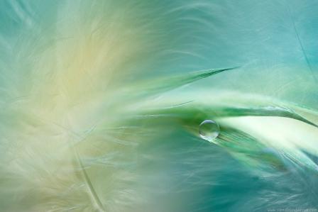 Меня средь вас уж нет...