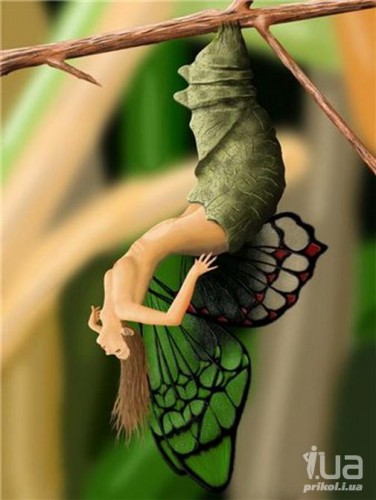 И любовь непременно случится!