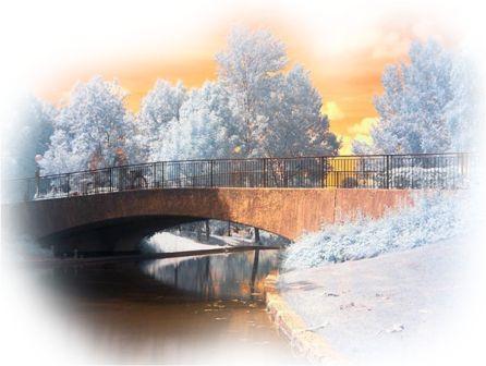 И по снегу пустых страниц...