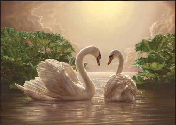 Белая лебёдушка